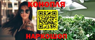 сатива Беслан