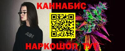 сатива Беслан