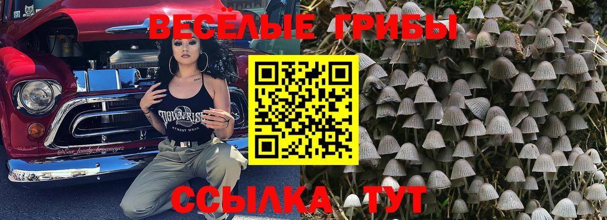 Избербаш  Галлюциногенные грибы мицелий  наркота  Вход с VPN 